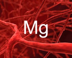 The Magnesium Factor