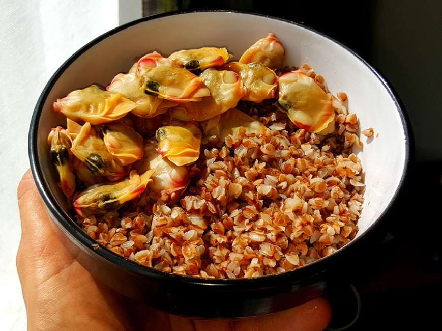 buckwheat with pippies